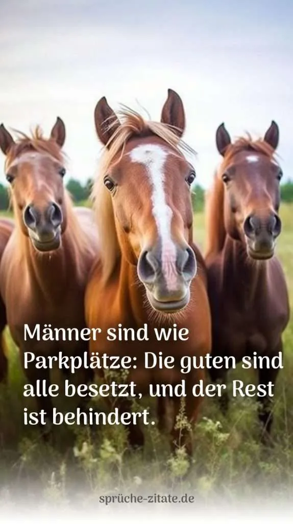 pferde lustige sprüche spruch stute horst horde rest männer mann