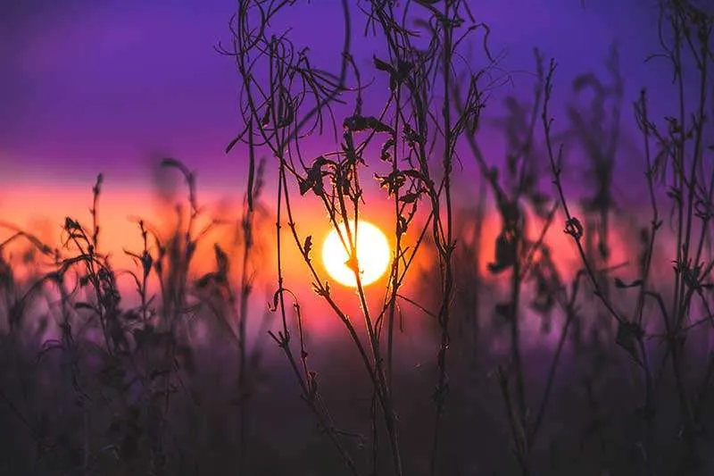 Englische Sprichwörter Sonnenuntergang Sonnenaufgang Bedeutung Alltag