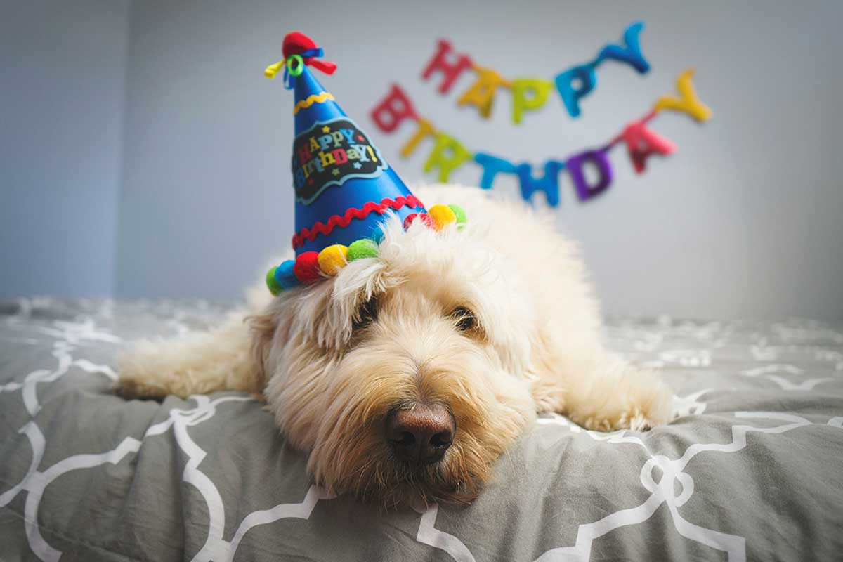 sprüche zum 16 geburtstag lustig kurz
